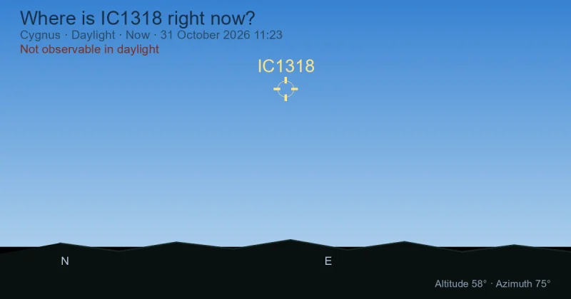 Where is IC1318 right now?