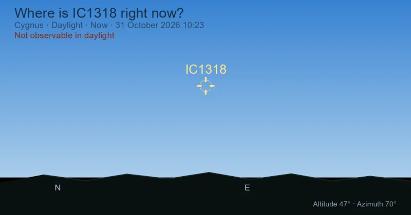 Where is IC1318 right now?