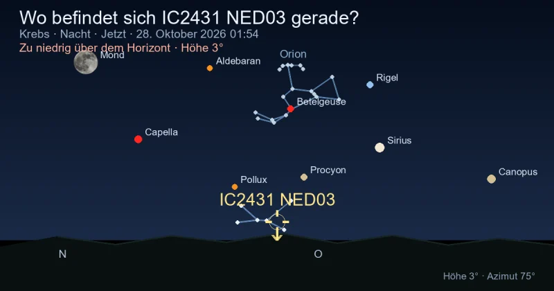 Wo befindet sich IC2431 NED03 gerade?