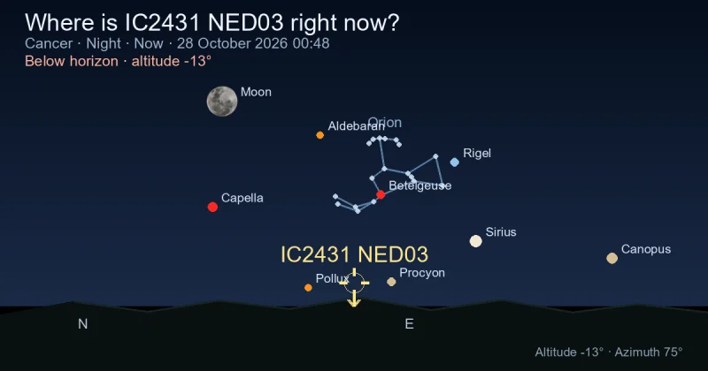 Where is IC2431 NED03 right now?