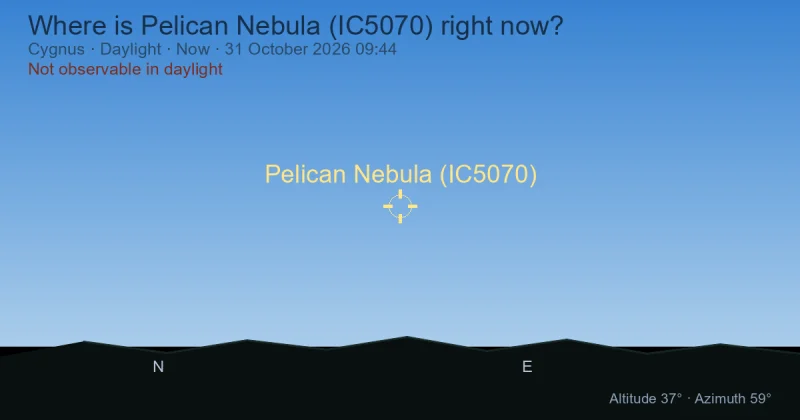 Where is Pelican Nebula (IC5070) right now?