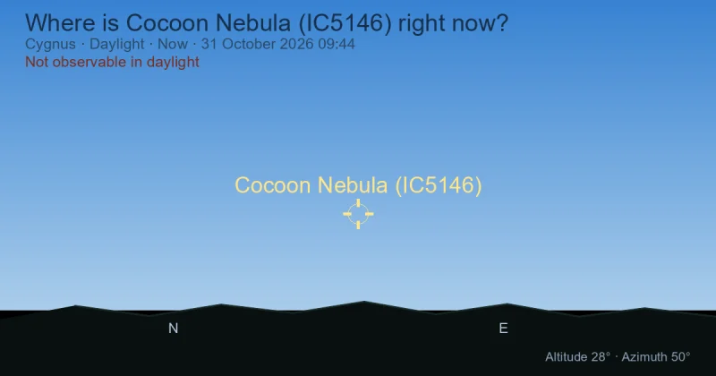 Where is Cocoon Nebula (IC5146) right now?