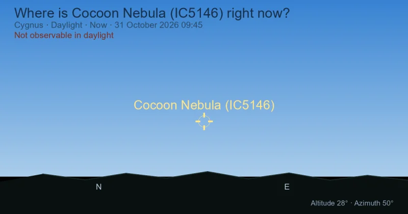 Where is Cocoon Nebula (IC5146) right now?