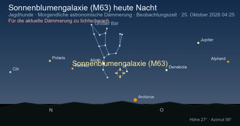 Sonnenblumengalaxie (M63) heute Nacht