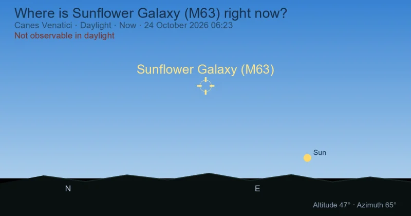 Where is Sunflower Galaxy (M63) right now?