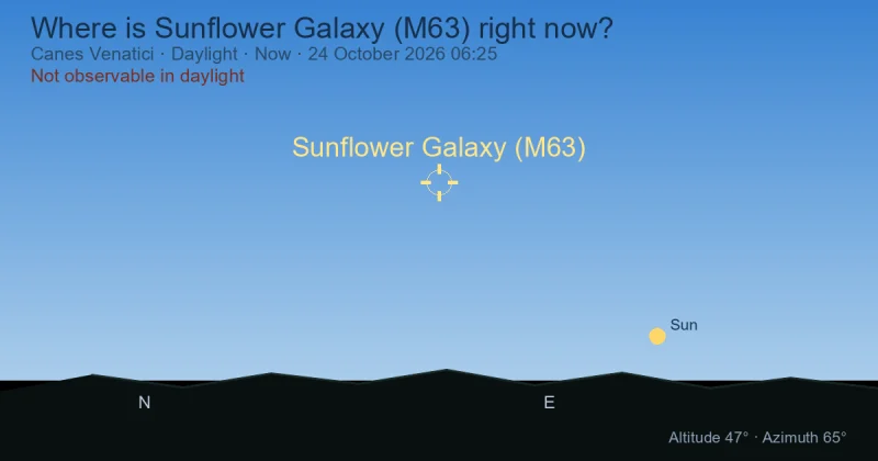 Where is Sunflower Galaxy (M63) right now?