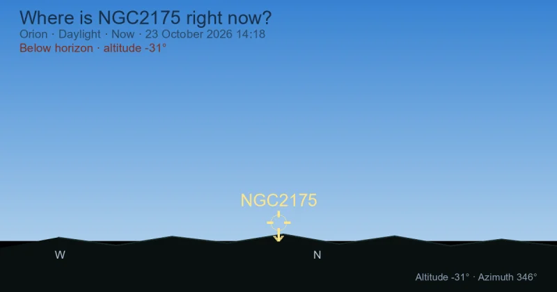 Where is NGC2175 right now?