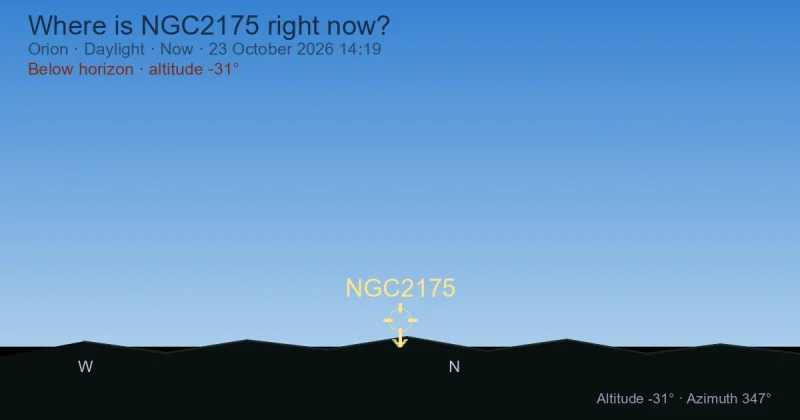 Where is NGC2175 right now?