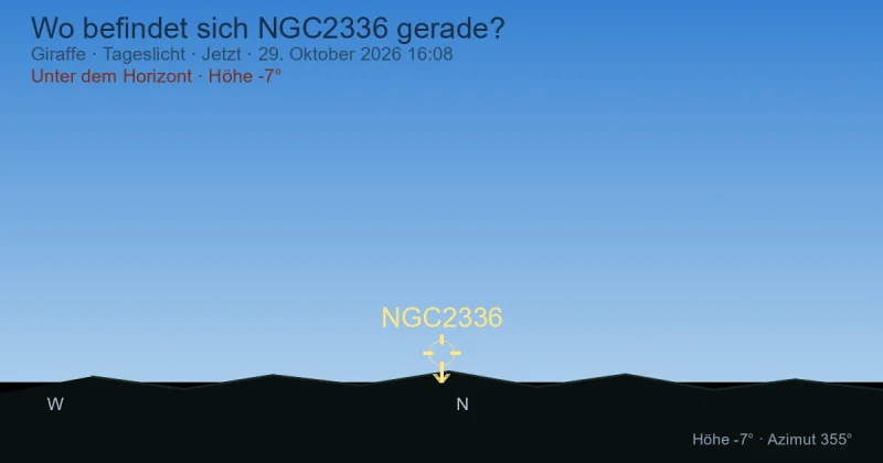 Wo befindet sich NGC2336 gerade?