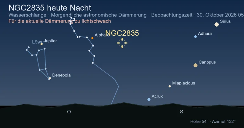 NGC2835 heute Nacht