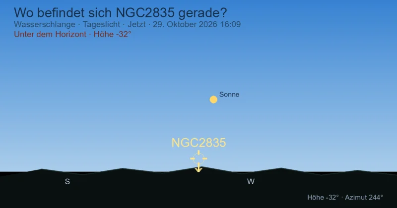 Wo befindet sich NGC2835 gerade?