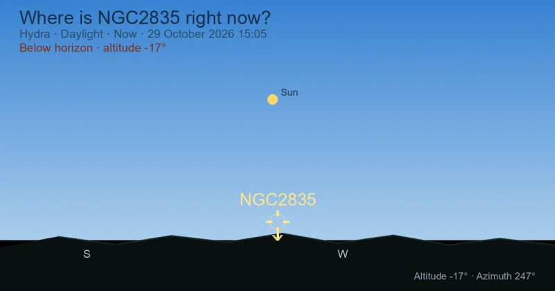 Where is NGC2835 right now?