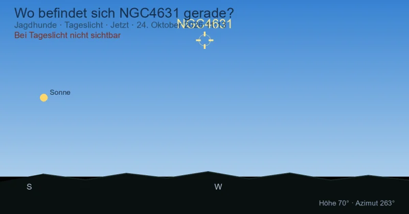 Wo befindet sich NGC4631 gerade?