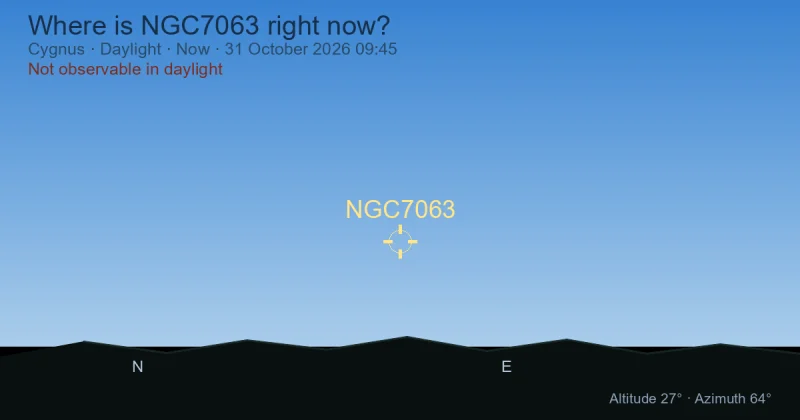 Where is NGC7063 right now?