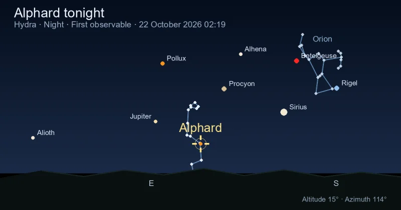 Alphard tonight