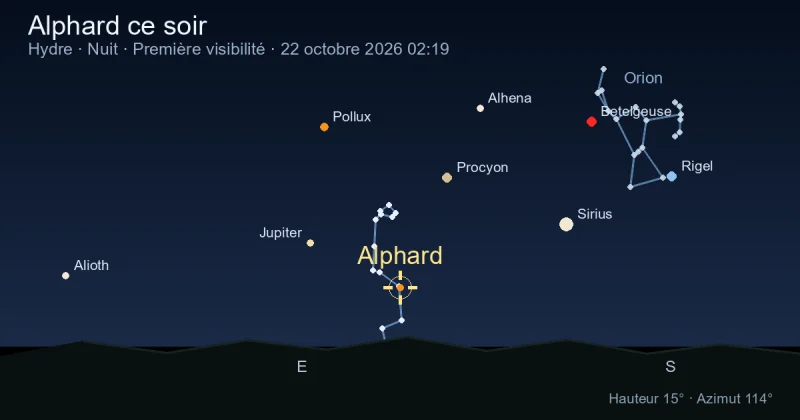 Alphard ce soir