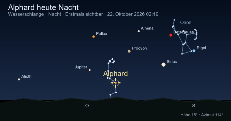 Alphard heute Nacht