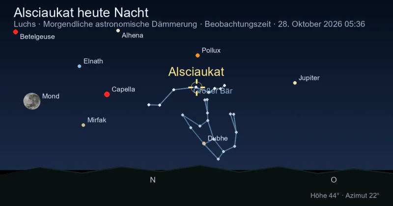 Alsciaukat heute Nacht