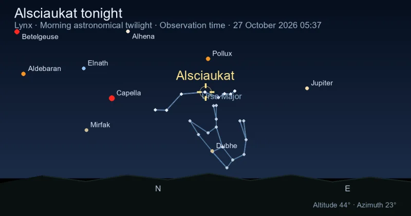 Alsciaukat tonight