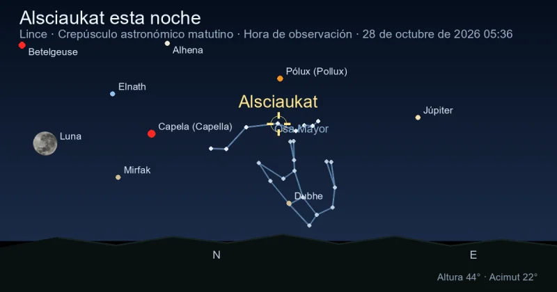 Alsciaukat esta noche