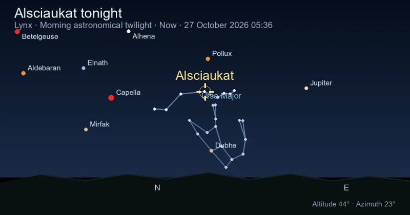 Alsciaukat tonight