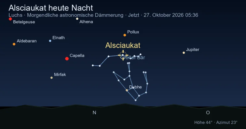 Alsciaukat heute Nacht