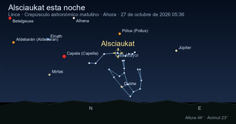 Alsciaukat esta noche