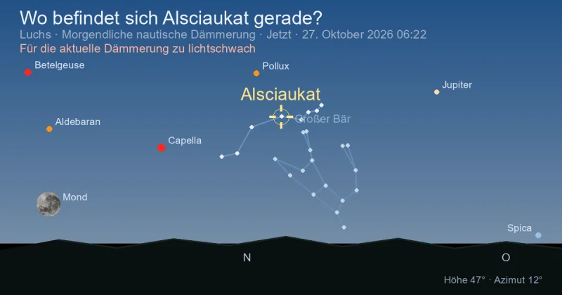 Wo befindet sich Alsciaukat gerade?