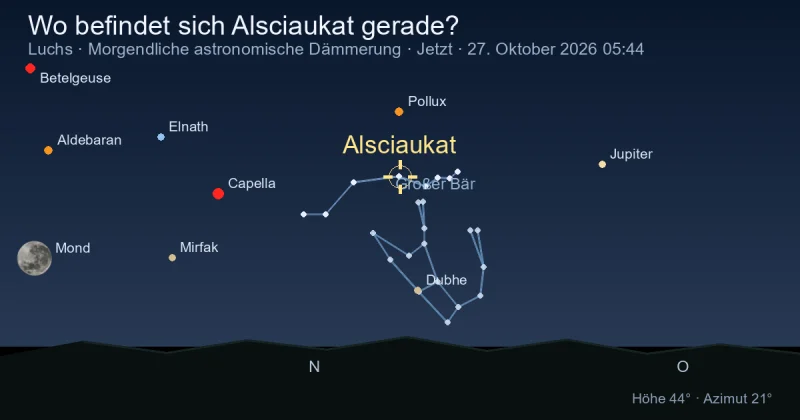Wo befindet sich Alsciaukat gerade?