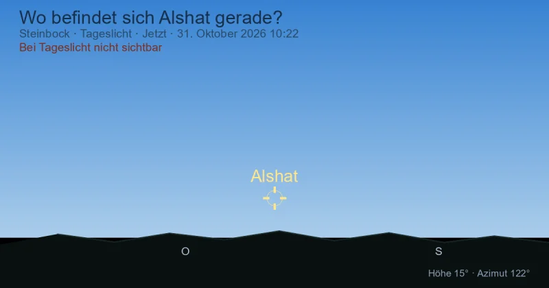 Wo befindet sich Alshat gerade?