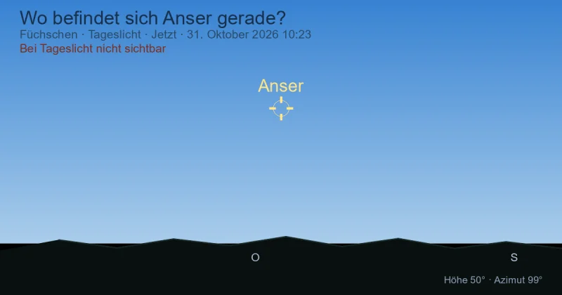 Wo befindet sich Anser gerade?