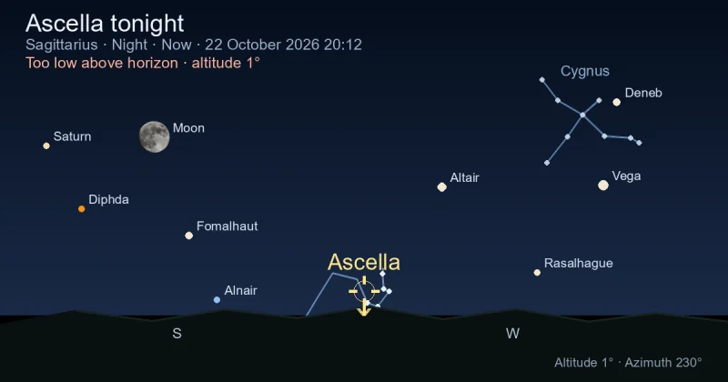 Ascella tonight