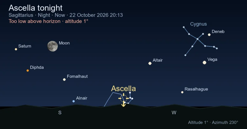 Ascella tonight