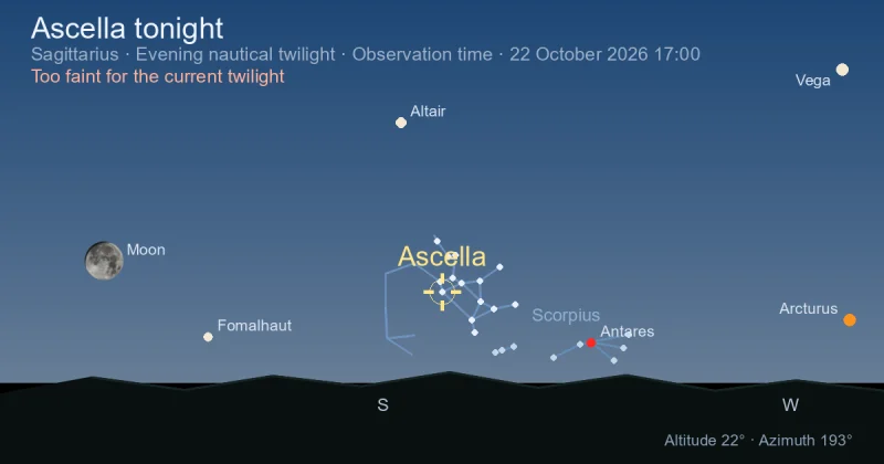 Ascella tonight