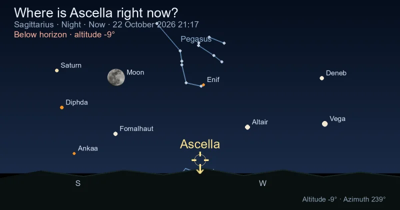 Where is Ascella right now?
