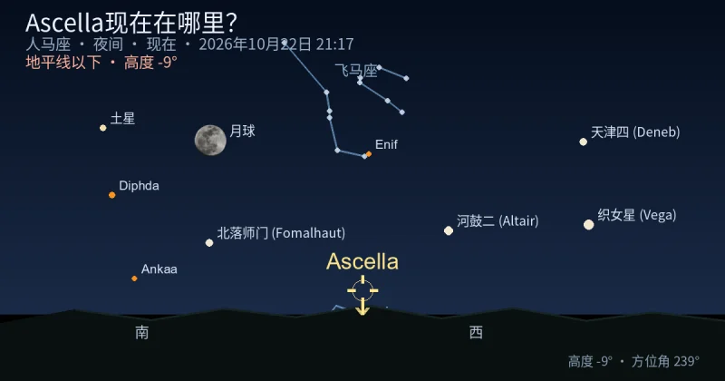 Ascella现在在哪里？