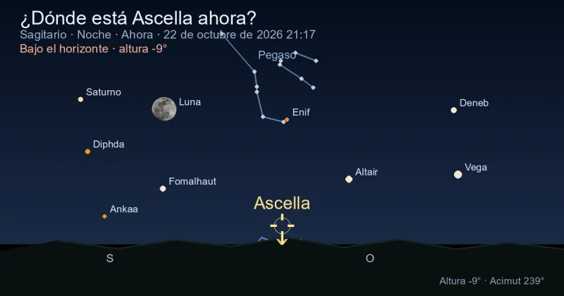 ¿Dónde está Ascella ahora?