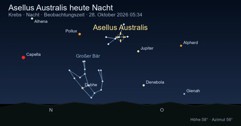 Asellus Australis heute Nacht