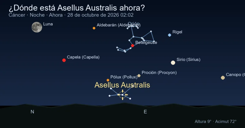 ¿Dónde está Asellus Australis ahora?