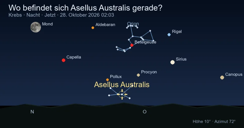 Wo befindet sich Asellus Australis gerade?