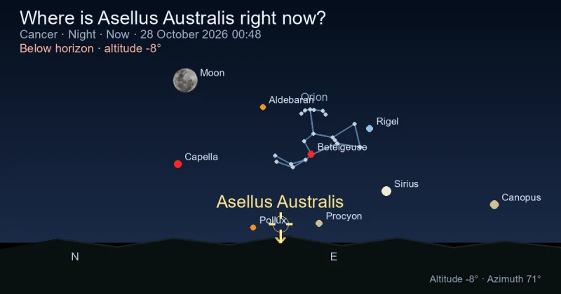 Where is Asellus Australis right now?