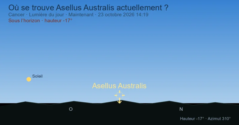 Où se trouve Asellus Australis actuellement ?