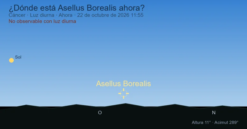 ¿Dónde está Asellus Borealis ahora?
