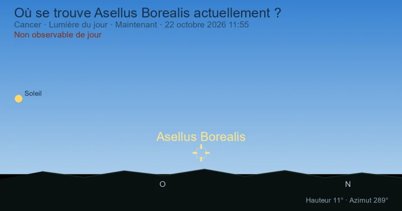 Où se trouve Asellus Borealis actuellement ?