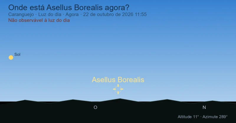 Onde está Asellus Borealis agora?
