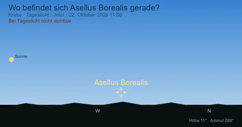 Wo befindet sich Asellus Borealis gerade?