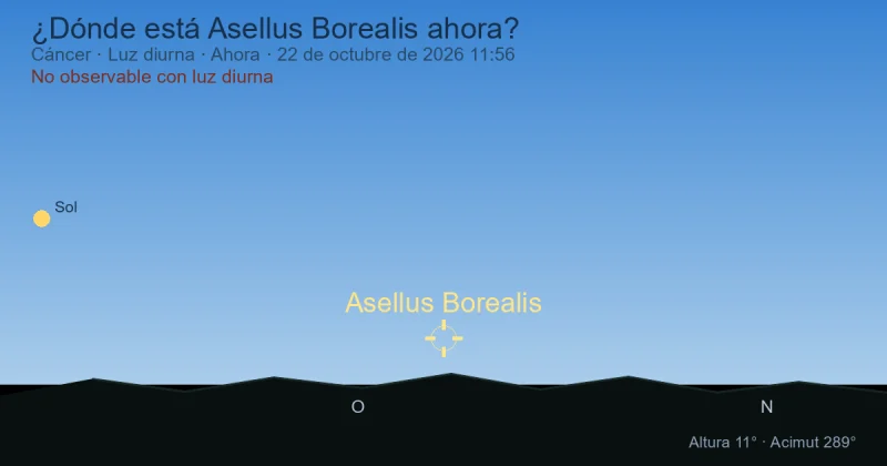 ¿Dónde está Asellus Borealis ahora?