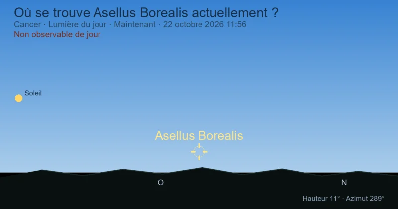 Où se trouve Asellus Borealis actuellement ?