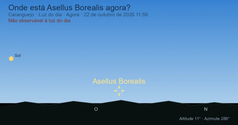 Onde está Asellus Borealis agora?