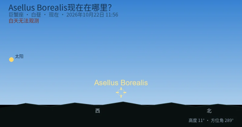 Asellus Borealis现在在哪里?